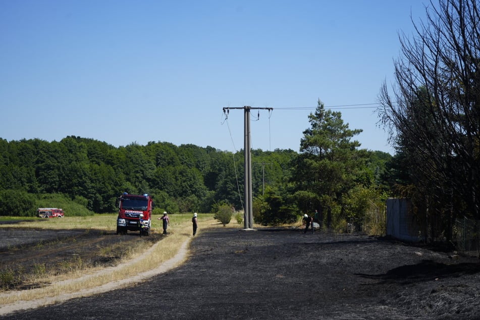 Die Feuerwehren im Landkreis Wittenberg am Einsatzort der B107.