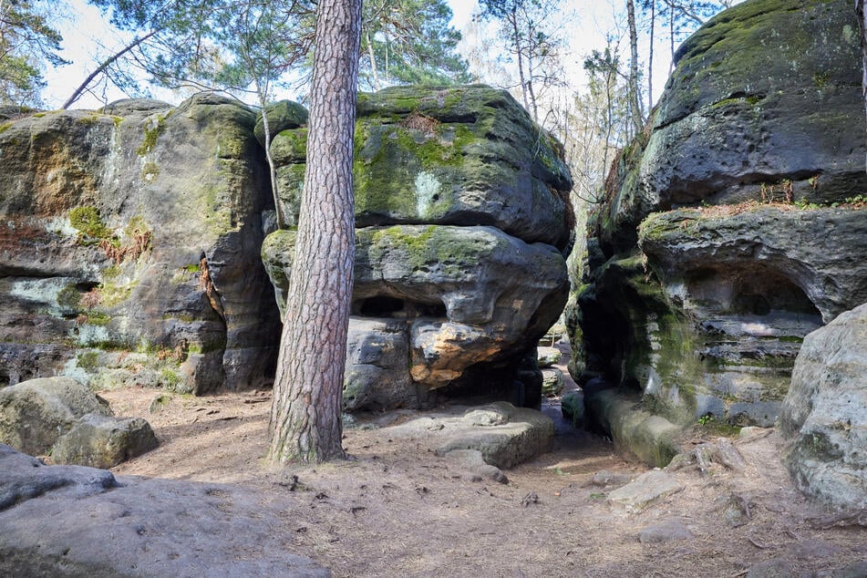 Das Labyrinth mit seinen meterhohen Felsen ist vor allem bei Familien beliebt.