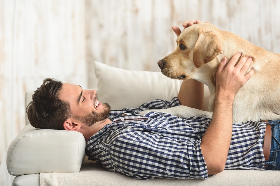 Dogs will often yawn when you are yawning, as a sign of empathy.