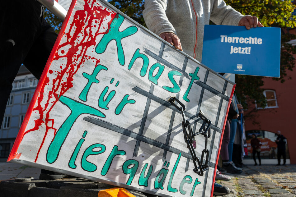 Tierschützer haben bei einer Protestaktion in Memmingen eine klare Botschaft vermittelt.