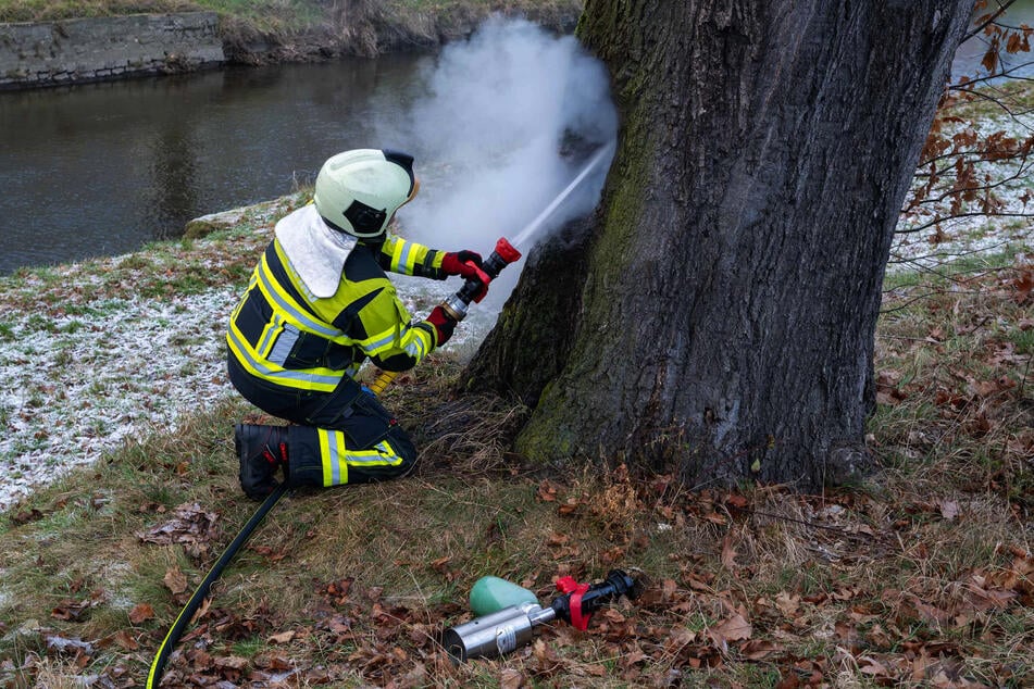 Die Feuerwehr konnte den Baum löschen.