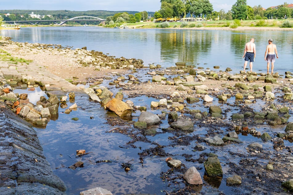 Auch aus der Prießnitz (hier deren Mündung in die Elbe) darf kein Wasser entnommen werden. (Archivfoto)