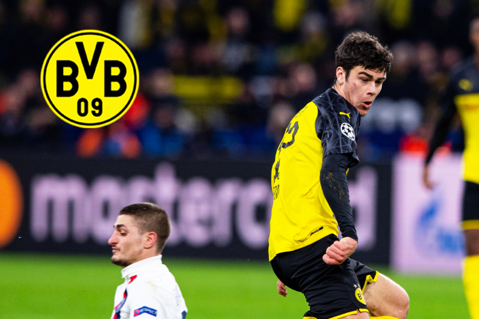 BVB soll Vertrag mit Youngster Giovanni Reyna bereits verlängert haben