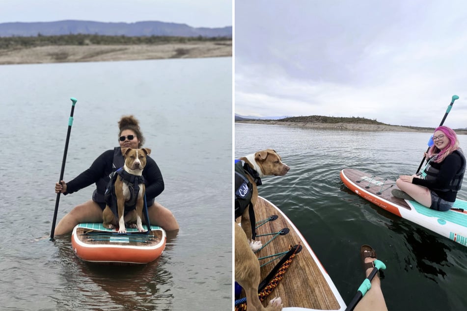 Samiec wydawał się bardzo cieszyć czasem spędzonym z dwiema opiekunkami – miał nawet okazję do kilku zdjęć.