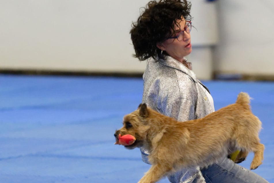 Tento podivný soutěžní závod se koná tento víkend uprostřed Severního Porýní‑Westfálska.