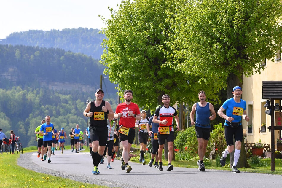 Auf dem Elberadweg geht's wieder von Königstein nach Dresden. Es ist die 27. Auflage des Oberelbe-Marathons.