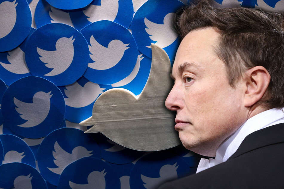 Elon Musk: Why Elon Musk's Twitter takeover is great news for the "worst people on the internet"