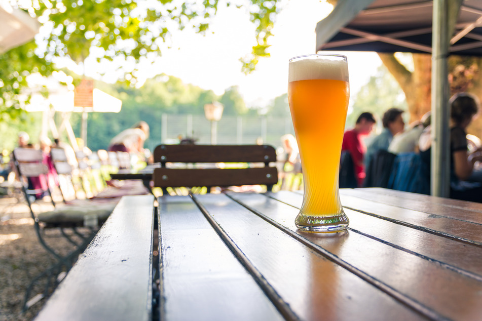 Classic and refreshing, a good light beer is what you need to while away the summer days with friends (stock image).