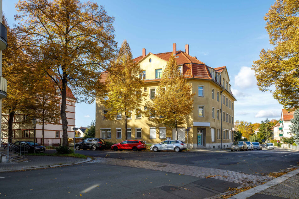 Während alle anderen Bäume noch stehen, ist der einzige, der schon das ganze Jahr keine Blätter hatte, beim Sturm umgefallen.