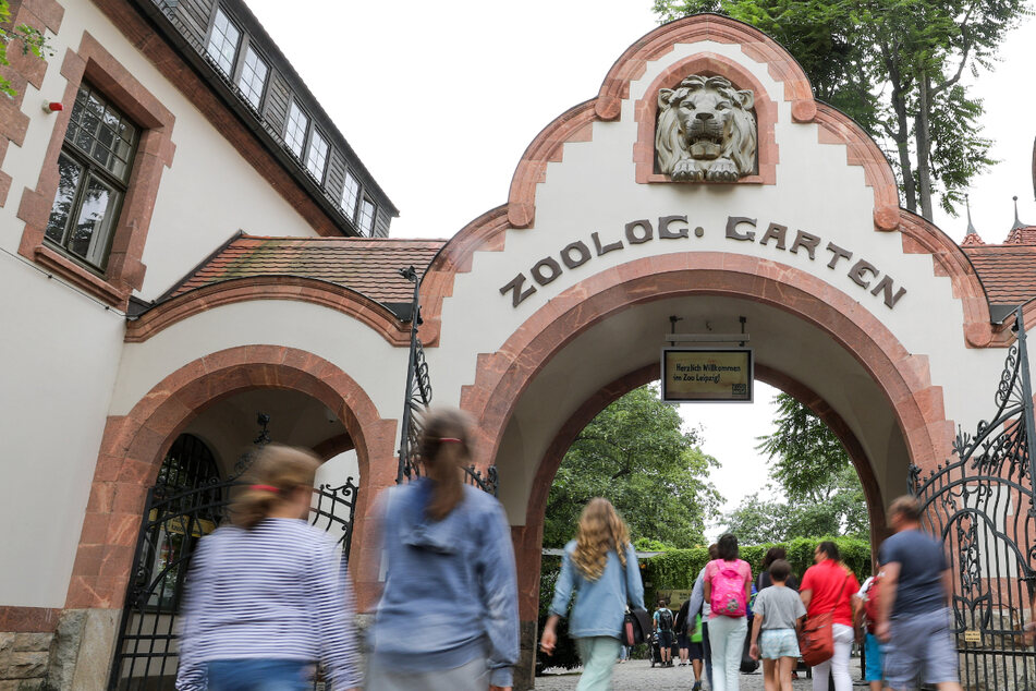 Auch "dank" Corona: Ausbau des Leipziger Zoos wird deutlich teurer als geplant