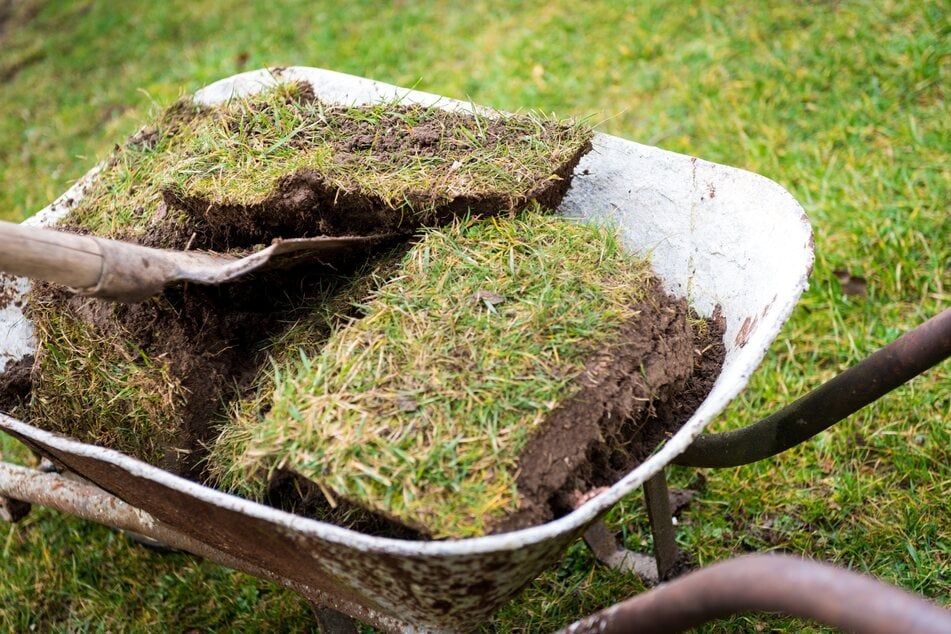 Gemüsebeet anlegen: Auf Rasen kannst Du mithilfe von Pappe das Beet anlegen. Alternativ kannst Du ihn durch Grassoden entfernen und den Boden umgraben.