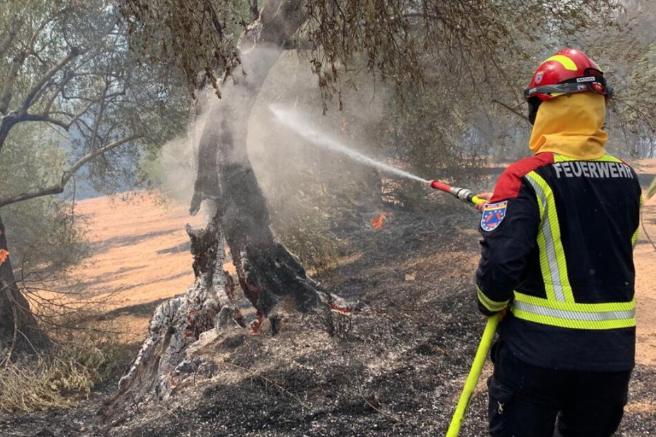 Riskant: Hier kämpfen deutsche Feuerwehr-Kameraden gegen die griechischen Flammen