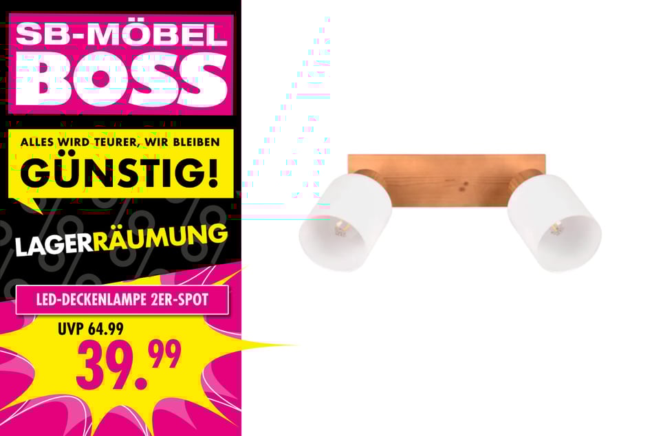 LED-Deckenlampe 2er-Spot