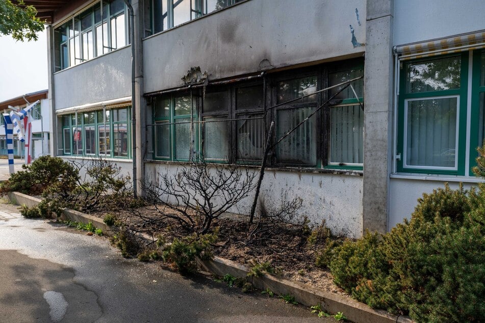 Mehrere Büsche fingen aus bisher unbekannter Ursache Feuer.
