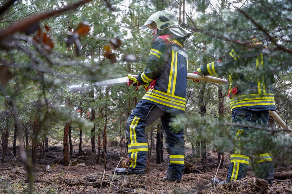 In Königswartha musste die Feuerwehr bereits Waldbrände löschen.