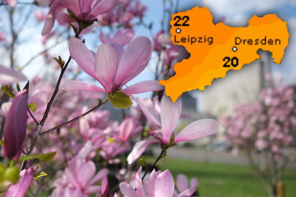 Am Freitag und Samstag können die Sachsen mit schönstem Frühlingswetter rechnen.