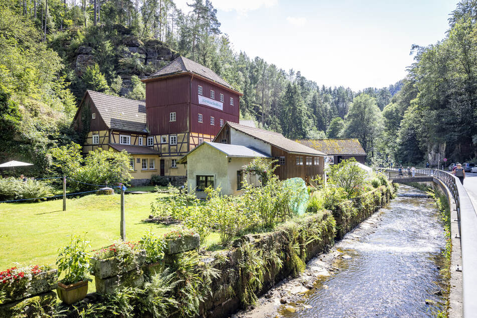 Mitten in der Nacht stürzte am Sonntag ein 51-Jähriger in einen Graben bei der Buschmühle Sebnitz.