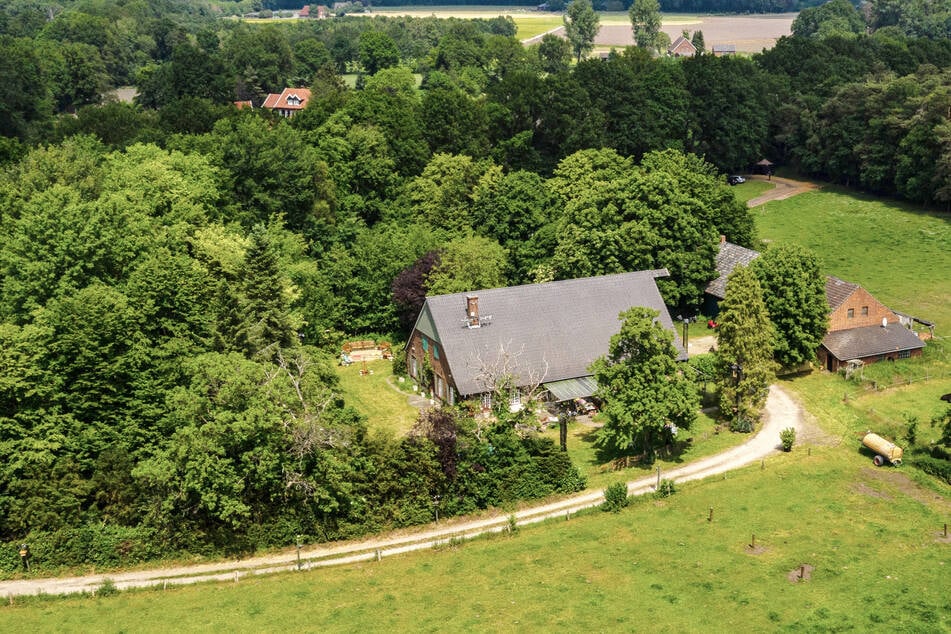 Sommerhaus der Stars: Neue Regel im "Sommerhaus": Darauf müssen die Promis im piefigen Landhaus jetzt verzichten