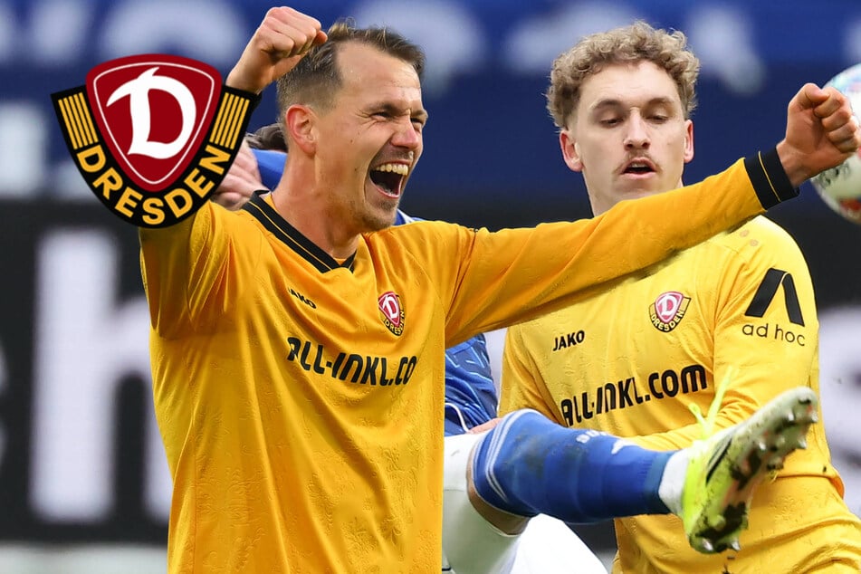 Dynamo-Coach Stamm muss basteln - Boeder und Herrmann als Alternativen