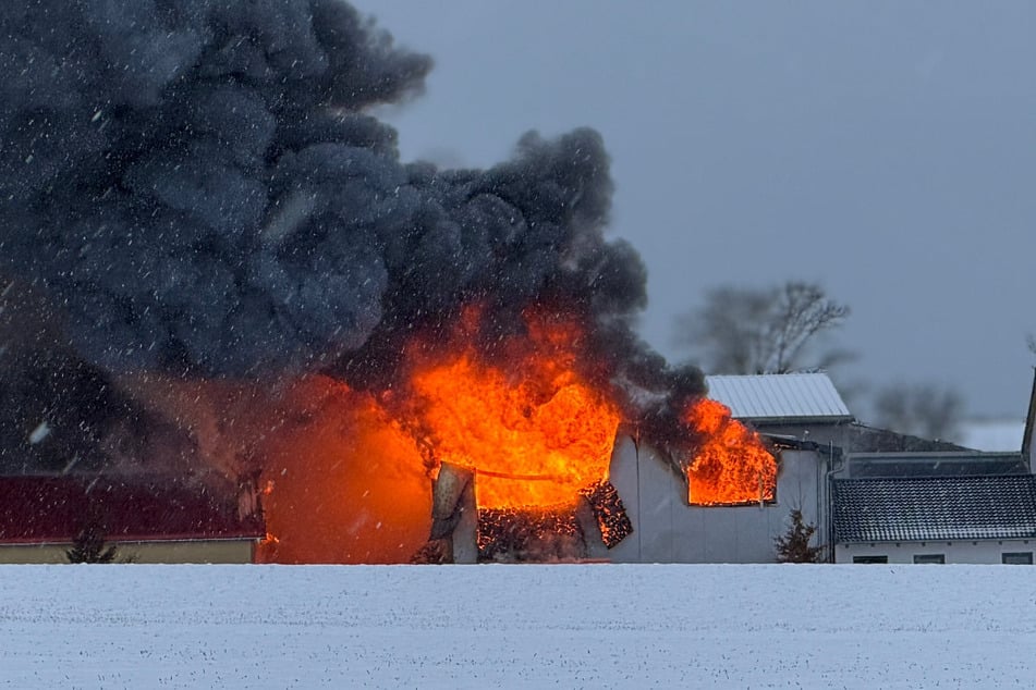 Stundenlang stand die Heizungsbauhalle in dem Gewerbegebiet in Flammen.