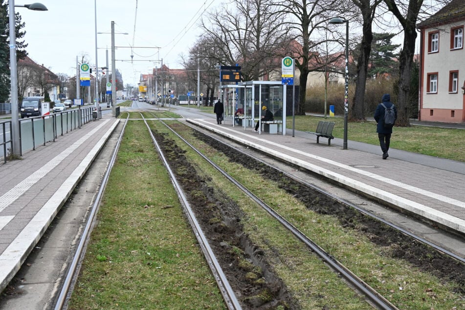 Ein Lkw ist am Mittwochabend in die Haltestelle Franzosenallee an der Prager Straße gerast und im Gleisbett stecken geblieben. Die Folgen des Unfalls waren am Donnerstag noch deutlich zu sehen.