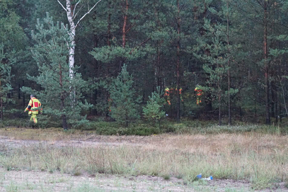 Da nicht klar war, ob Personen unter Schock in den angrenzenden Wald geflüchtet sind, wurde dieser ebenfalls durchsucht.