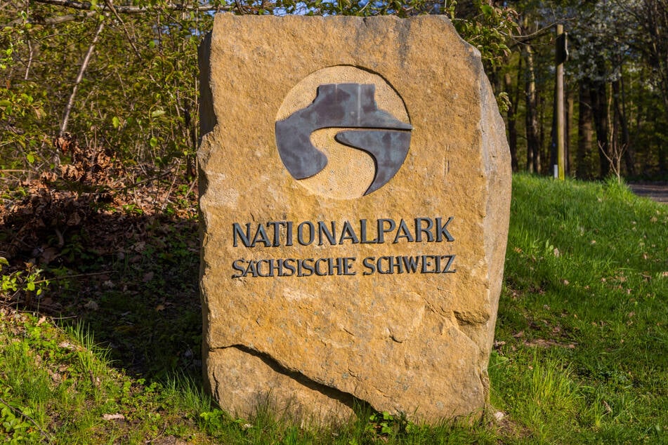 In Stein gemeißelt: der Nationalpark Sächsische Schweiz.