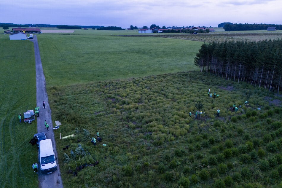 Greenpeace-Aktivisten haben auf dem geplanten Bohrfeld unweit des Ammersees Bäume gepflanzt.