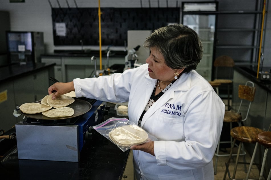 Dr. Raquel Gomez Pliego prepares "super tortillas" at the Industrial Microbiology laboratory of the National Autonomous University of Mexico in Mexico City.