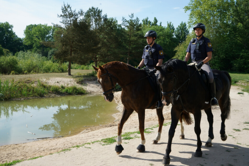 Polizeireiter des Polizeipräsidiums Mittelfranken auf Streife im Nürnberger Marienbergpark.