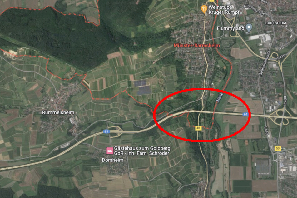 Der Fundort der Leiche befindet sich unter der Brücke der A61 in der Nähe der B48 bei Münster-Sarmsheim.