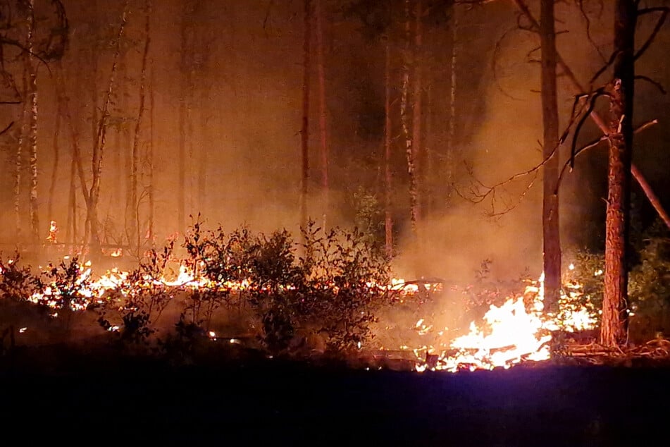 Die Waldbrandgefahr - wie hier vergangenen Sommer nahe Jüterbog (Brandenburg) - nimmt europaweit zu.