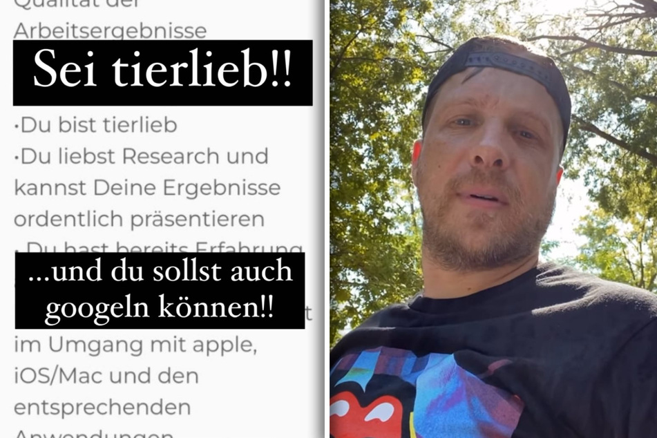 Oliver Pocher lästert über Influencer-Stellenangebot: "Ohne 100% Deutsch tut nichts gehen"