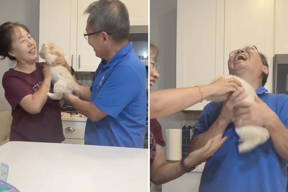 Overjoyed, the couple embraced their new roommate – a rescued puppy!