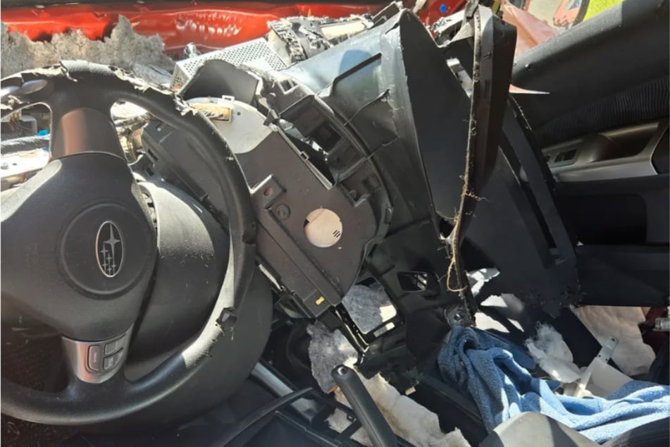 Nach der Randale des Bären war der Subaru komplett hinüber.
