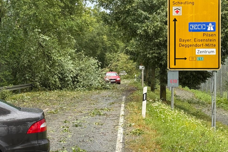 Umgestürzte Bäume blockieren die Straße Richtung Rohrstetten.