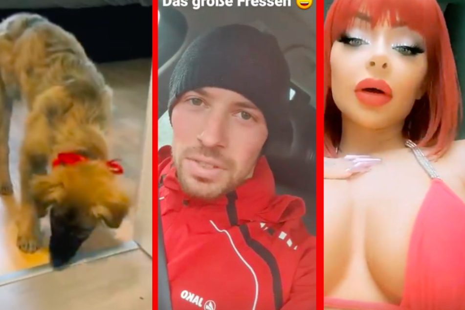 Sexy, sportlich, sinnlich: So feierten Leipzigs Promis im Corona-Jahr Weihnachten