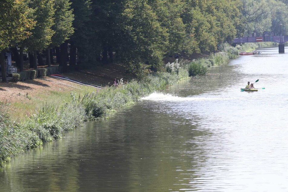 Das Wasser des Inselteichs wird ins nahegelegene Elsterflutbett gepumpt.