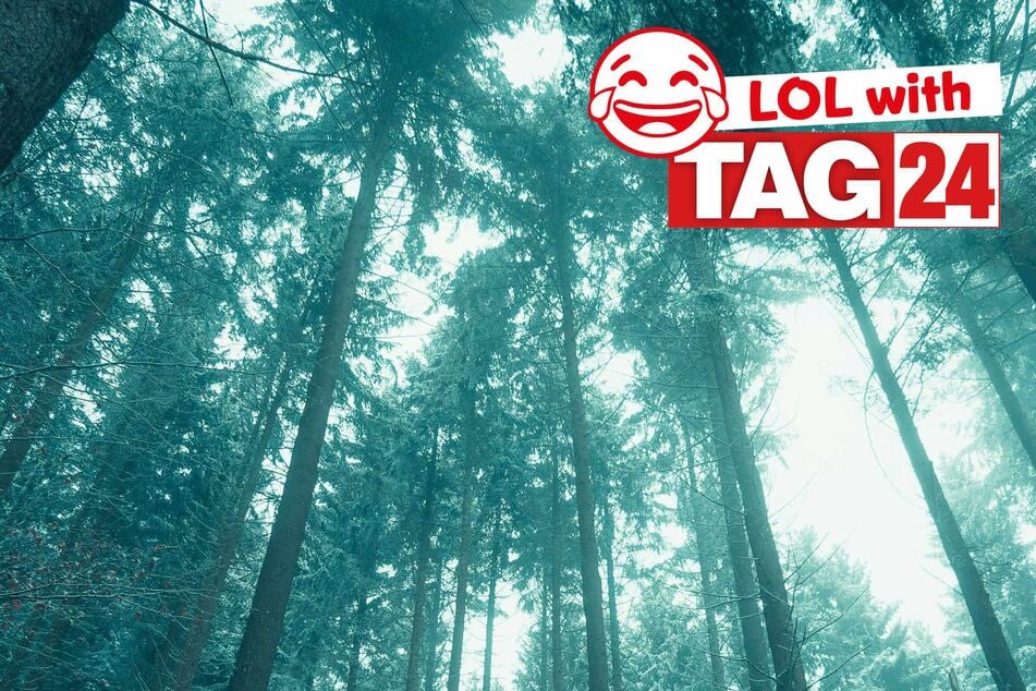 Joke of the Night for January 25, 2026: A snow silly for the winter storm