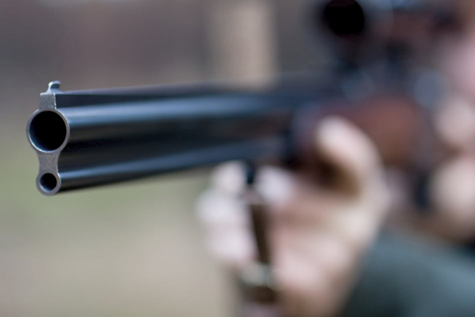 Brandenburg plant Wolfsjagd: Naturschützer schlagen Alarm