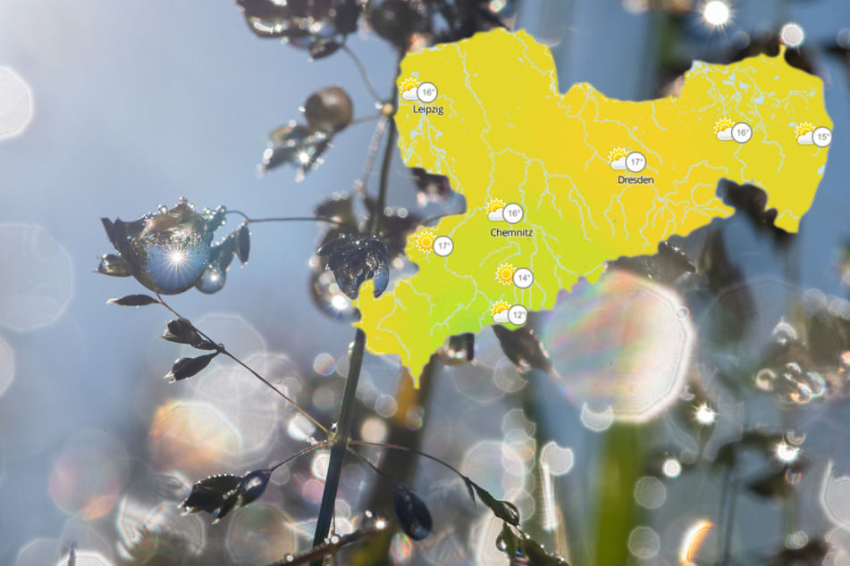 Der Frühling kommt langsam und wechselhaft nach Sachsen zurück