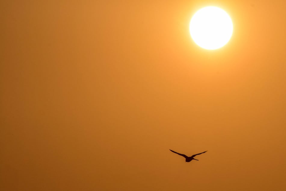 Though children and the elderly are most at risk, anyone can face negative health affects due to extreme heat.