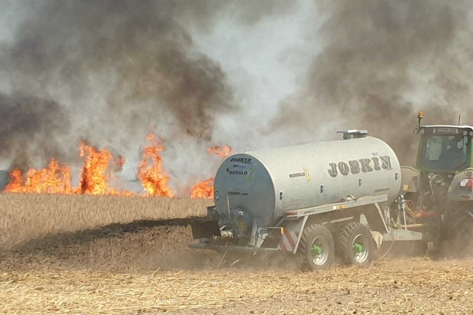 Auf einem Getreidefeld in Brandenburg ist am Samstagmittag ein Feuer ausgebrochen.