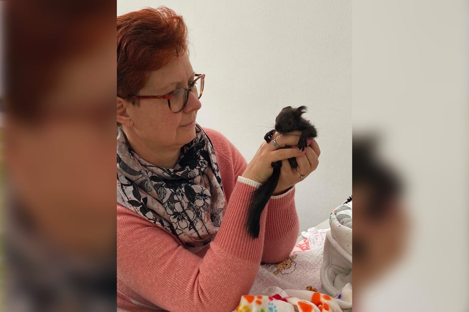 Jacqueline Günther (56) rettet Nager in Not. Ihr neustes Findelkind heißt Asterix.