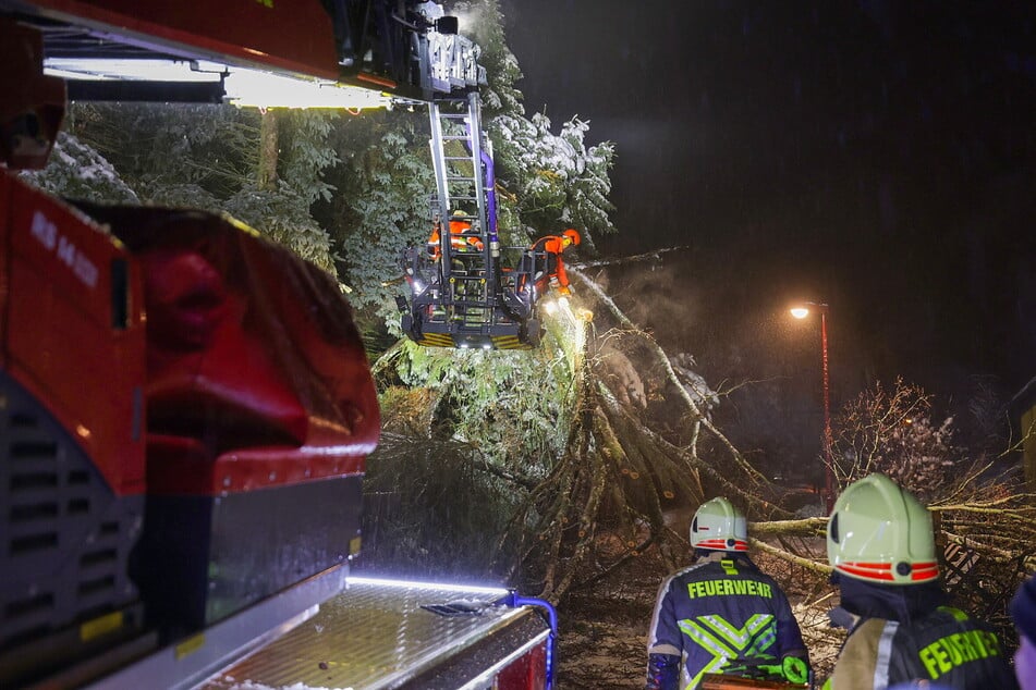 Feuerwehr im Dauereinsatz: Bäume stürzen um, Haushalte ohne Strom