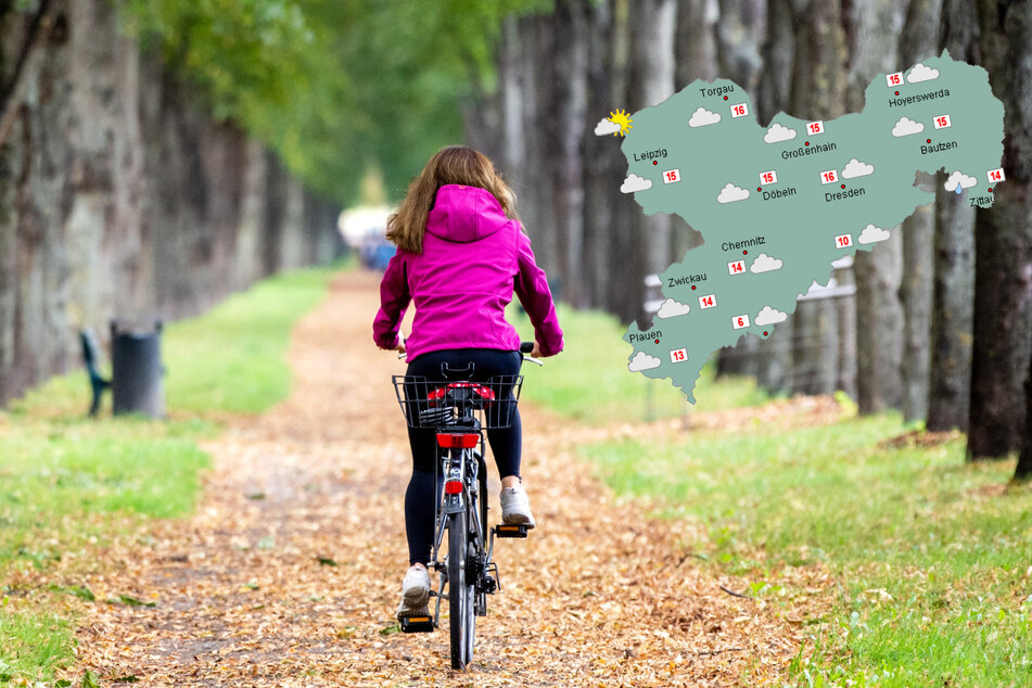 Erst Regen, dann Sonne: Der Herbst hält Einzug in Sachsen