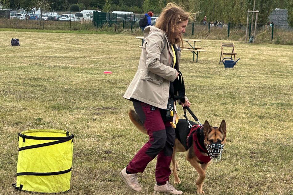 Während einer Agility-Prüfung beim Tag der offenen Tür stellte auch ein Schäferhund sein Können unter Beweis.