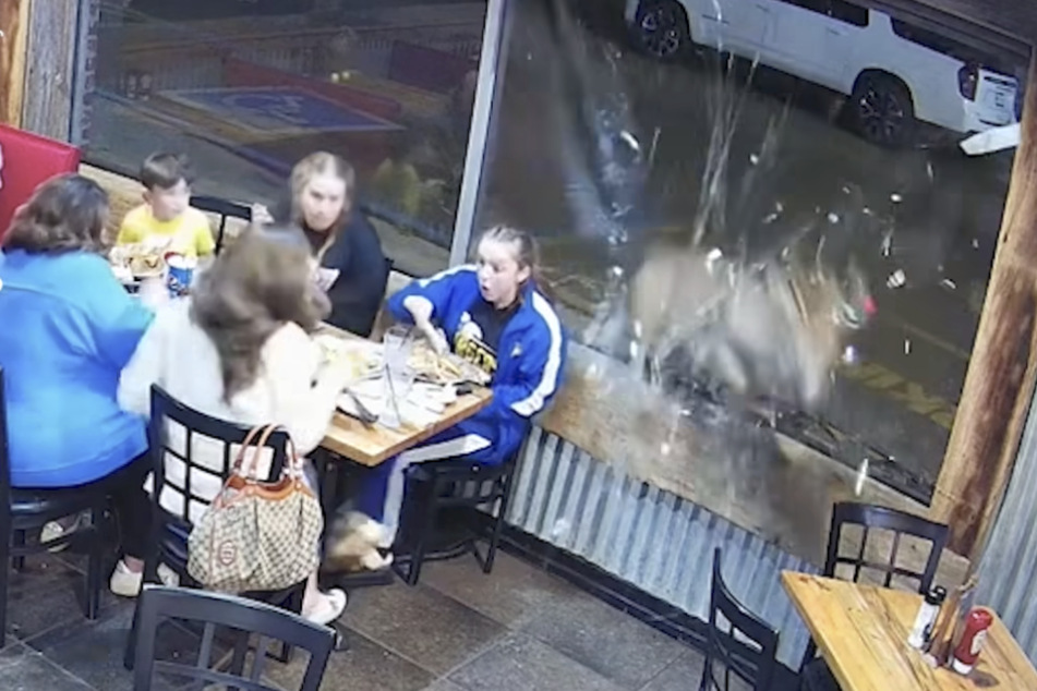 A surveillance camera captured the moment when a deer broke through the window pane, startling two families dining at a restaurant in Martin, Tennessee.