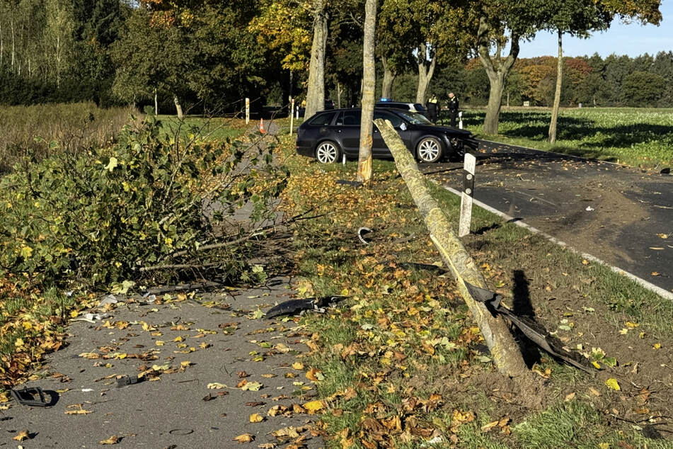 Ein Baum zerbrach durch die Wucht des Aufpralls.