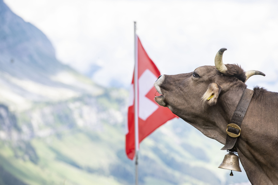 Die Schweiz erlebt aktuell den stärksten Rückgang des Bruttoinlandsprodukts seit Beginn der Aufzeichnung von Quartalszahlen im Jahre 1980.